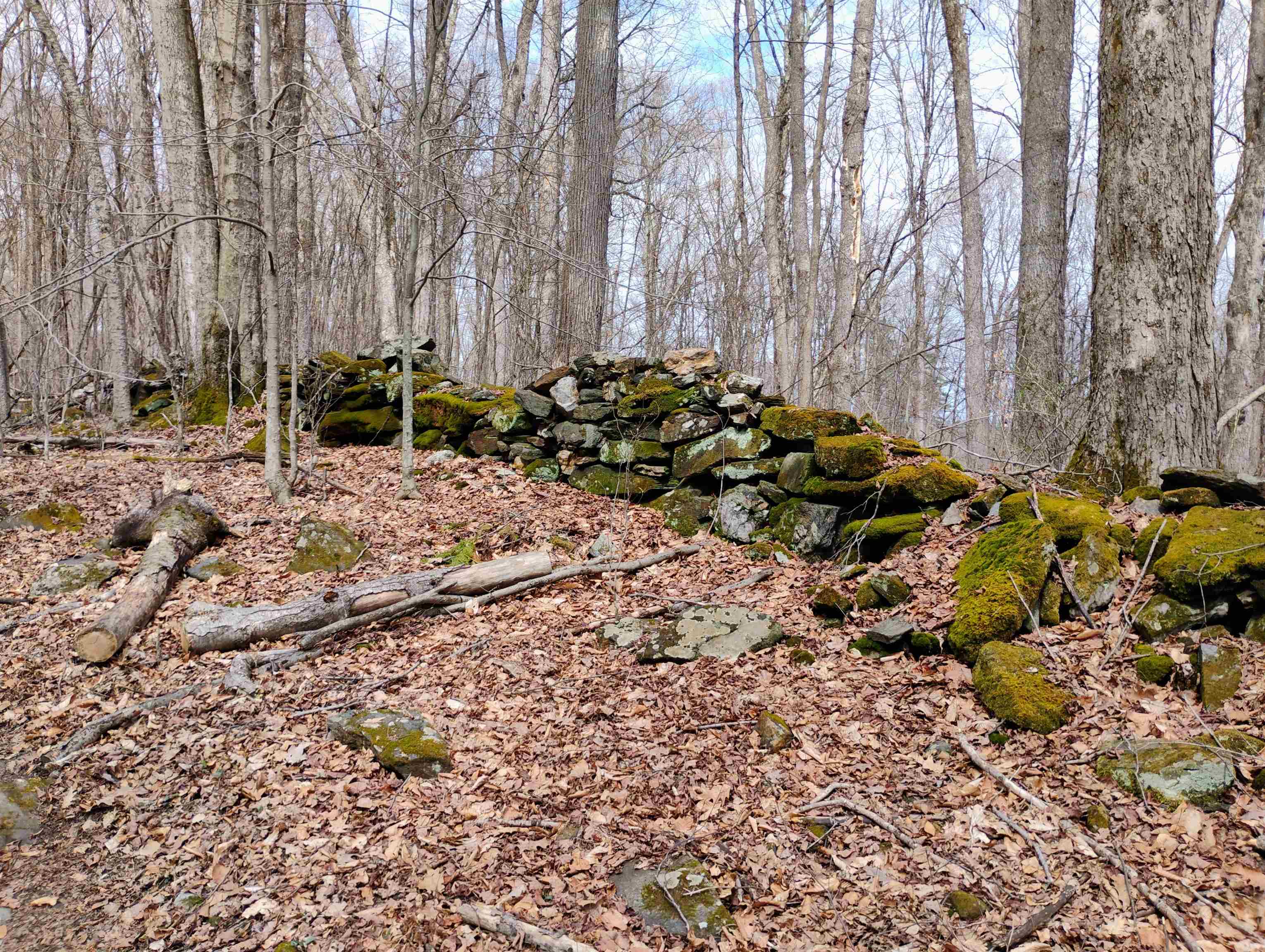 Lot 1 Faraway (Jones) Road