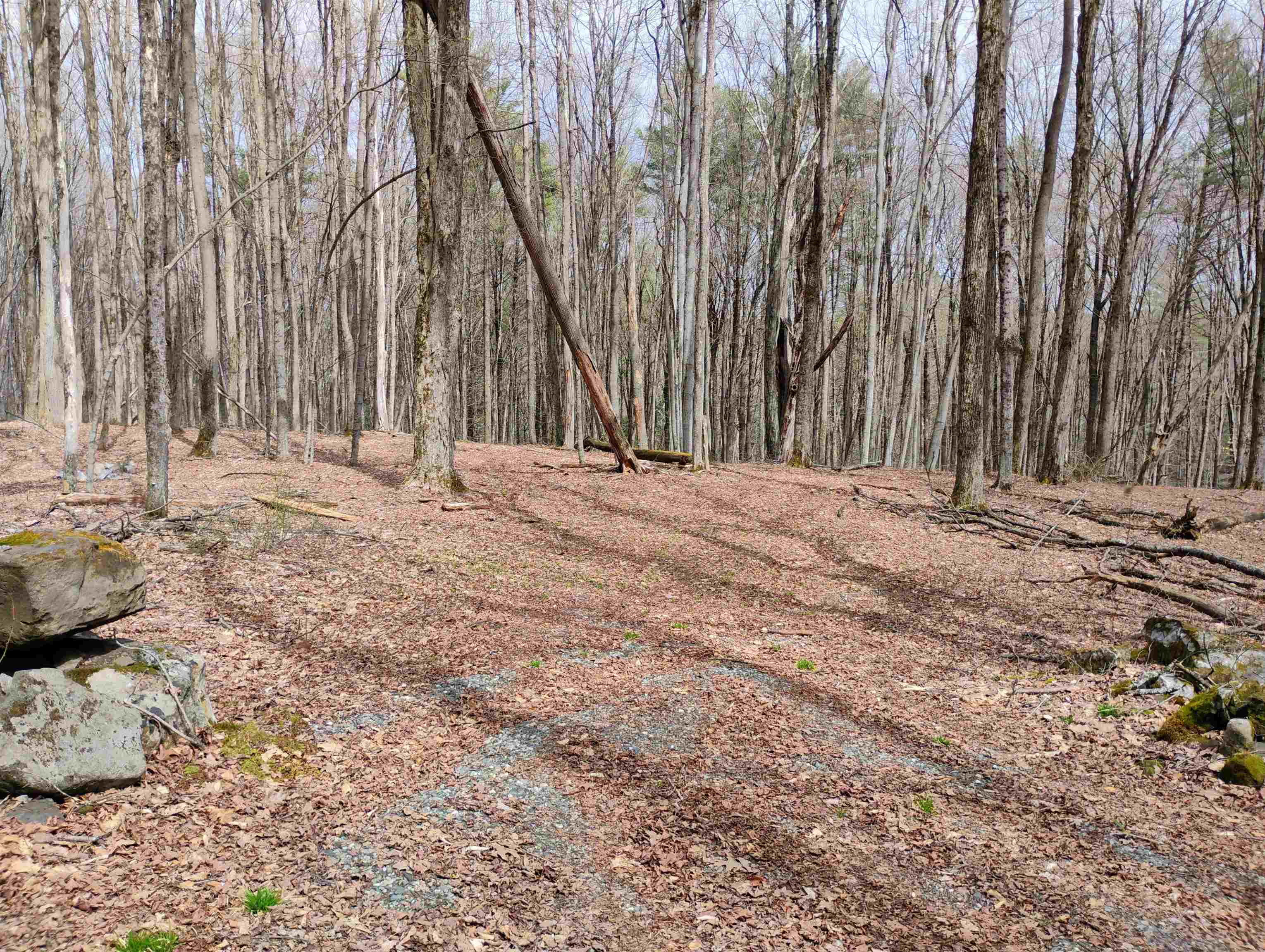 Lot 1 Faraway (Jones) Road