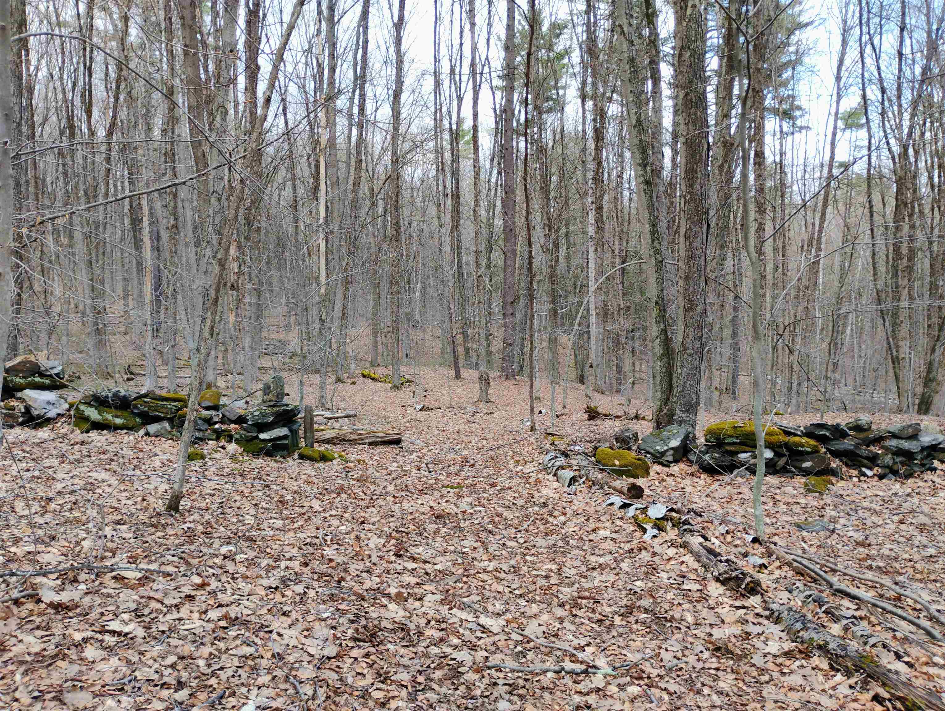 Lot 1 Faraway (Jones) Road