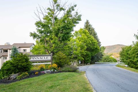 255 Old Mill Road F15 Killington VT 05751