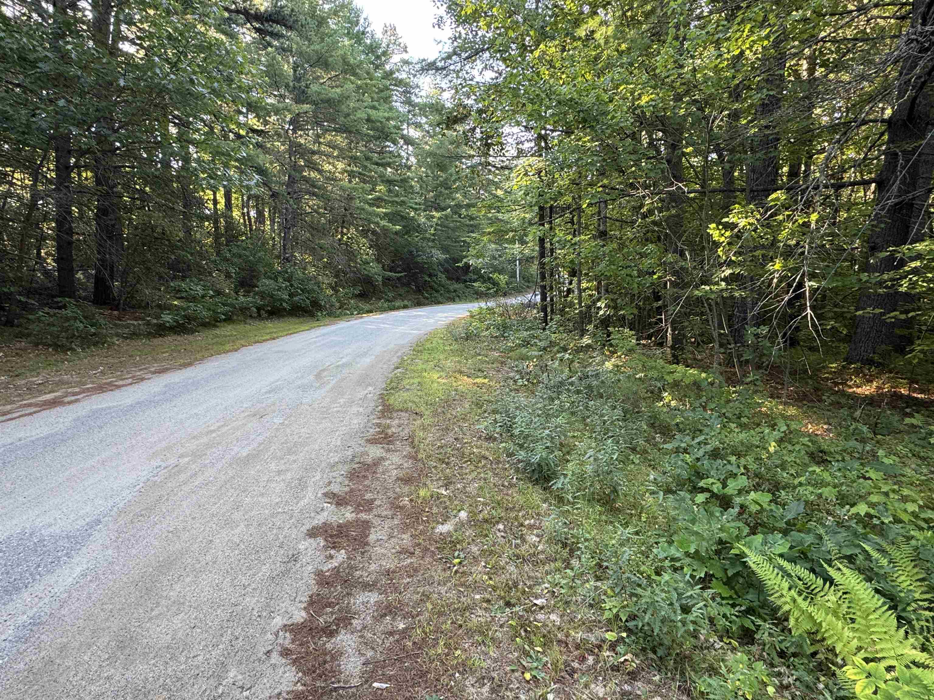 27 Blueberry Road