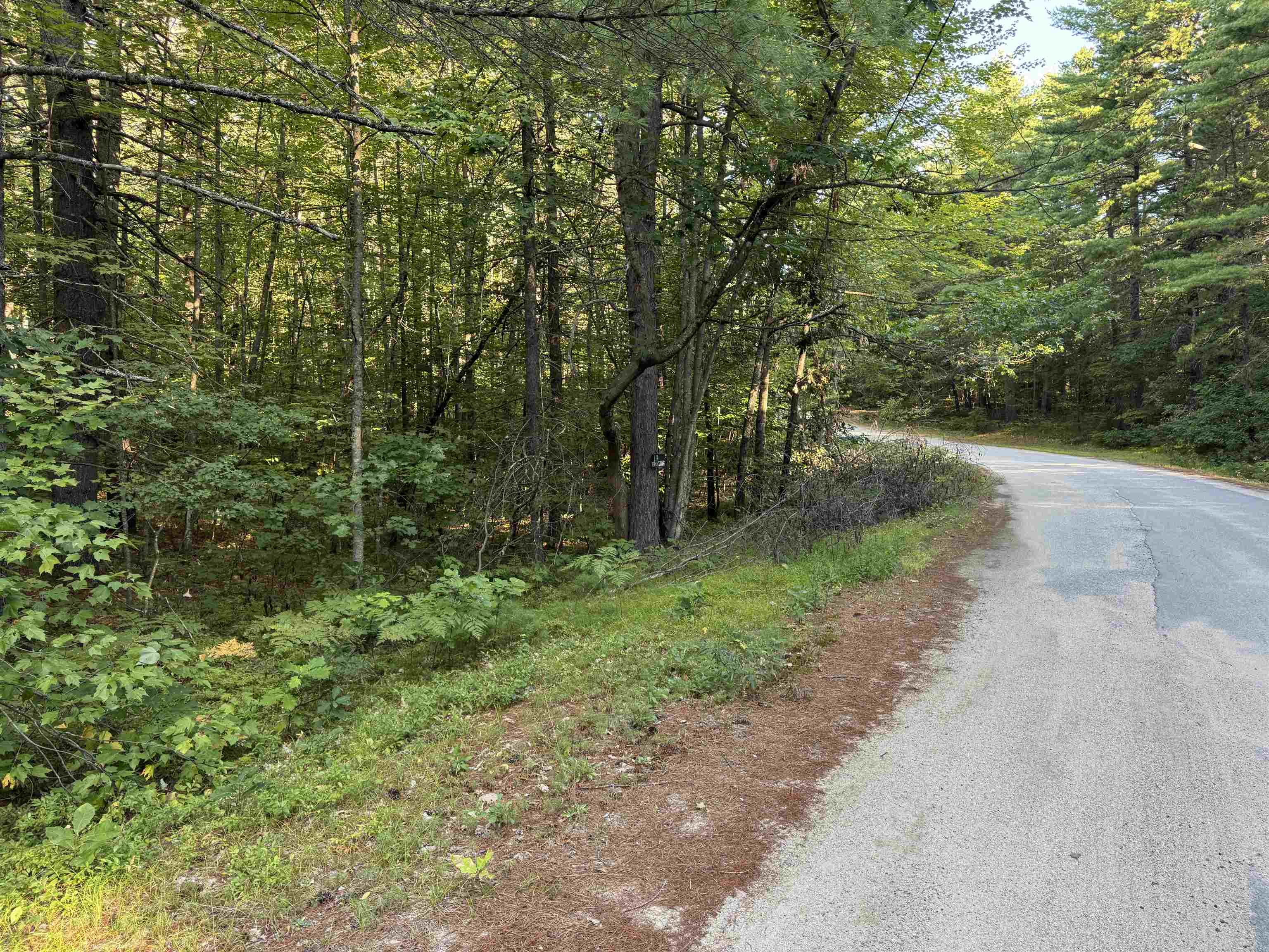 27 Blueberry Road