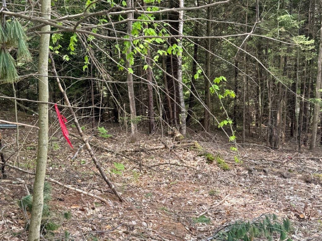 Highland Avenue Lot 2