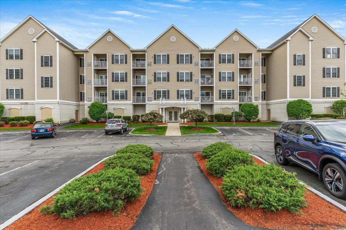 59 Cluff Road 41