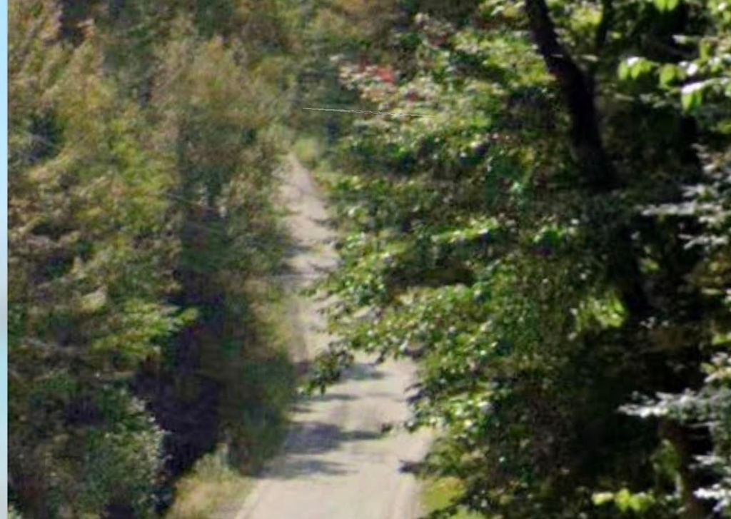 Photo of 361 Brock Lane, Groton, NH 03241 (MLS # 5081027)