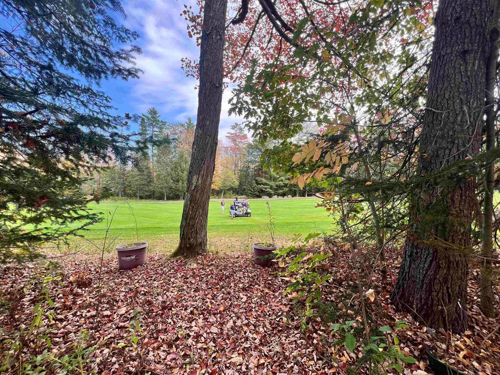 Photo of 112 Greensward Drive, Grantham, NH 03753 (MLS # 5064582)