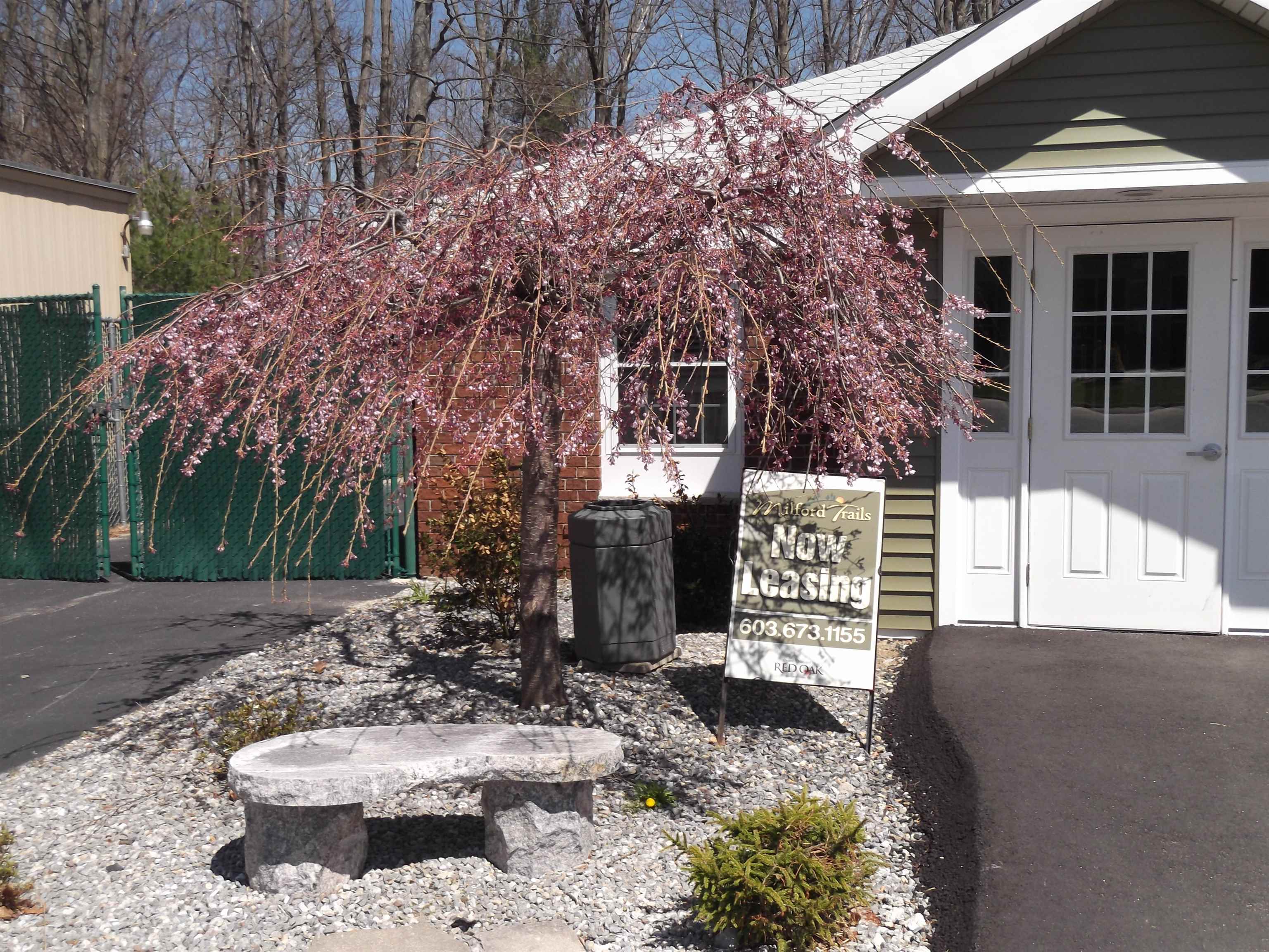 95 Powers Street 83