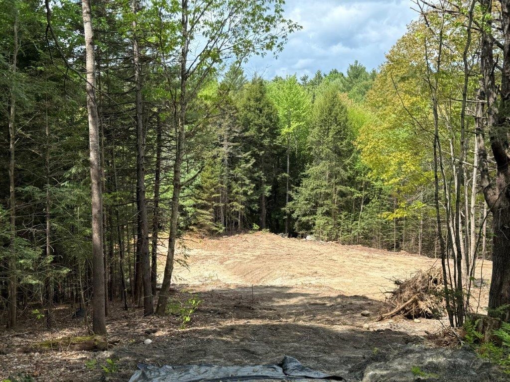 Highland Avenue Lots 1 and 2