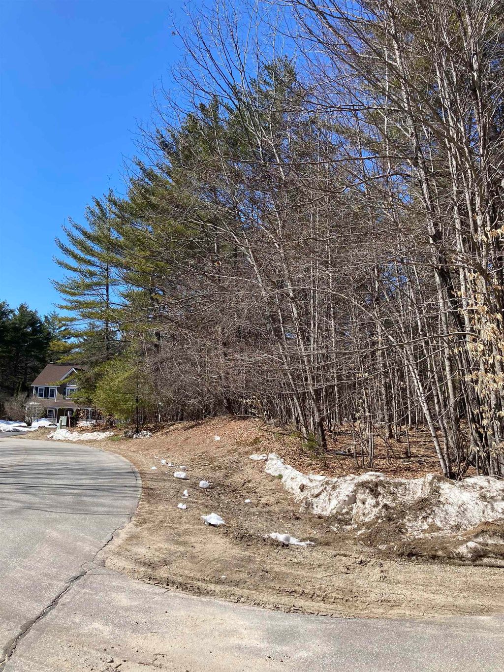 Photo of 0 Alden Washburn Drive, Tamworth, NH 03886 (MLS # 5066667)
