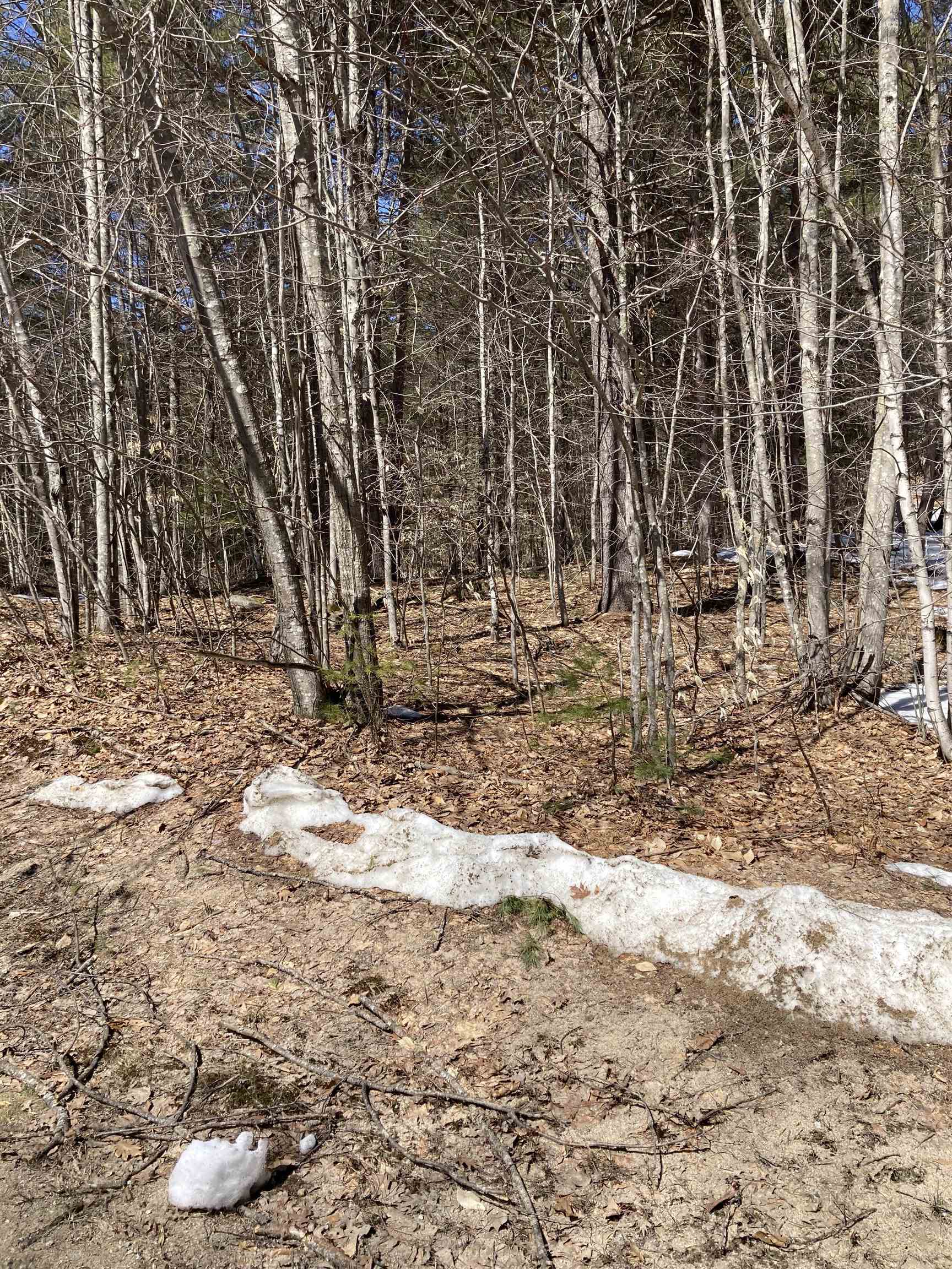 0 Alden Washburn Drive