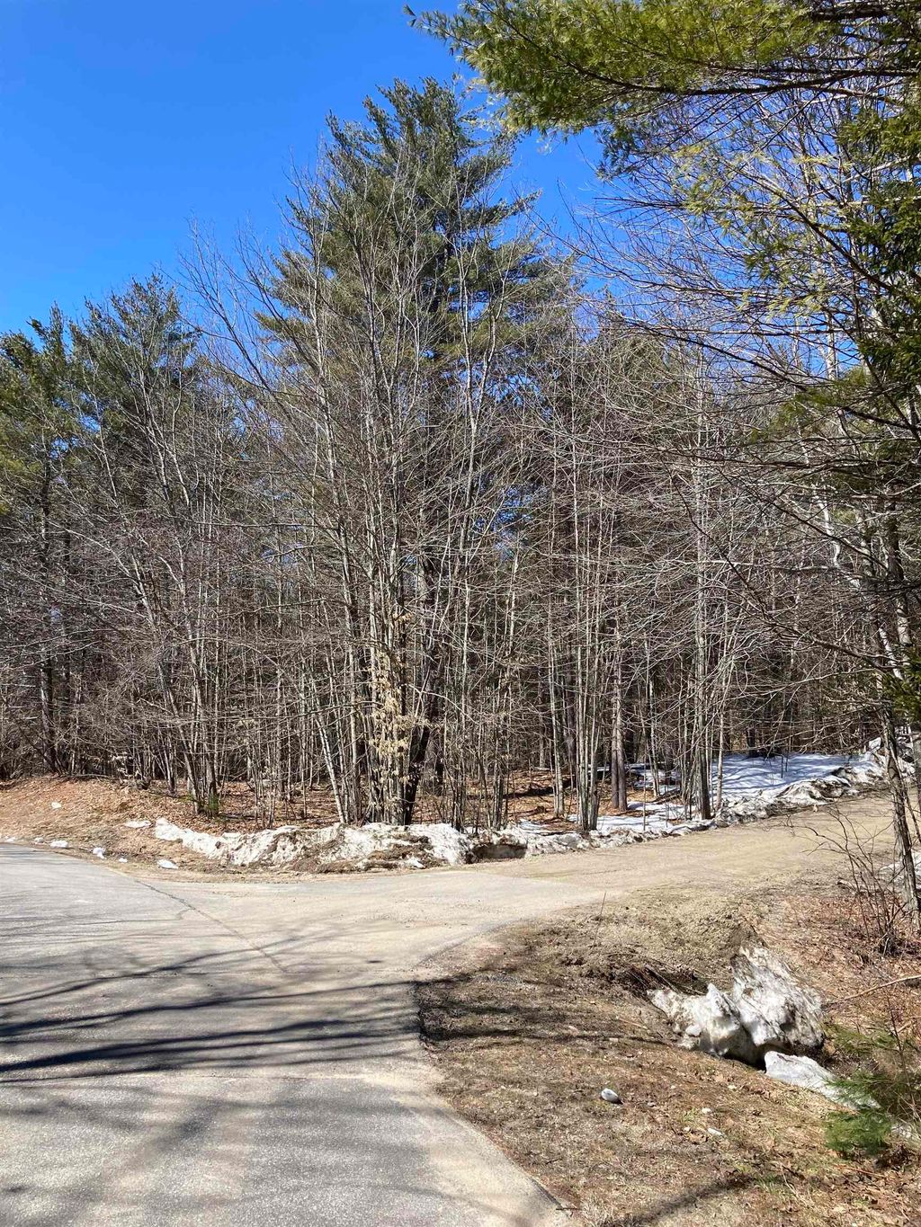 Photo of 0 Alden Washburn Drive, Tamworth, NH 03886 (MLS # 5066667)