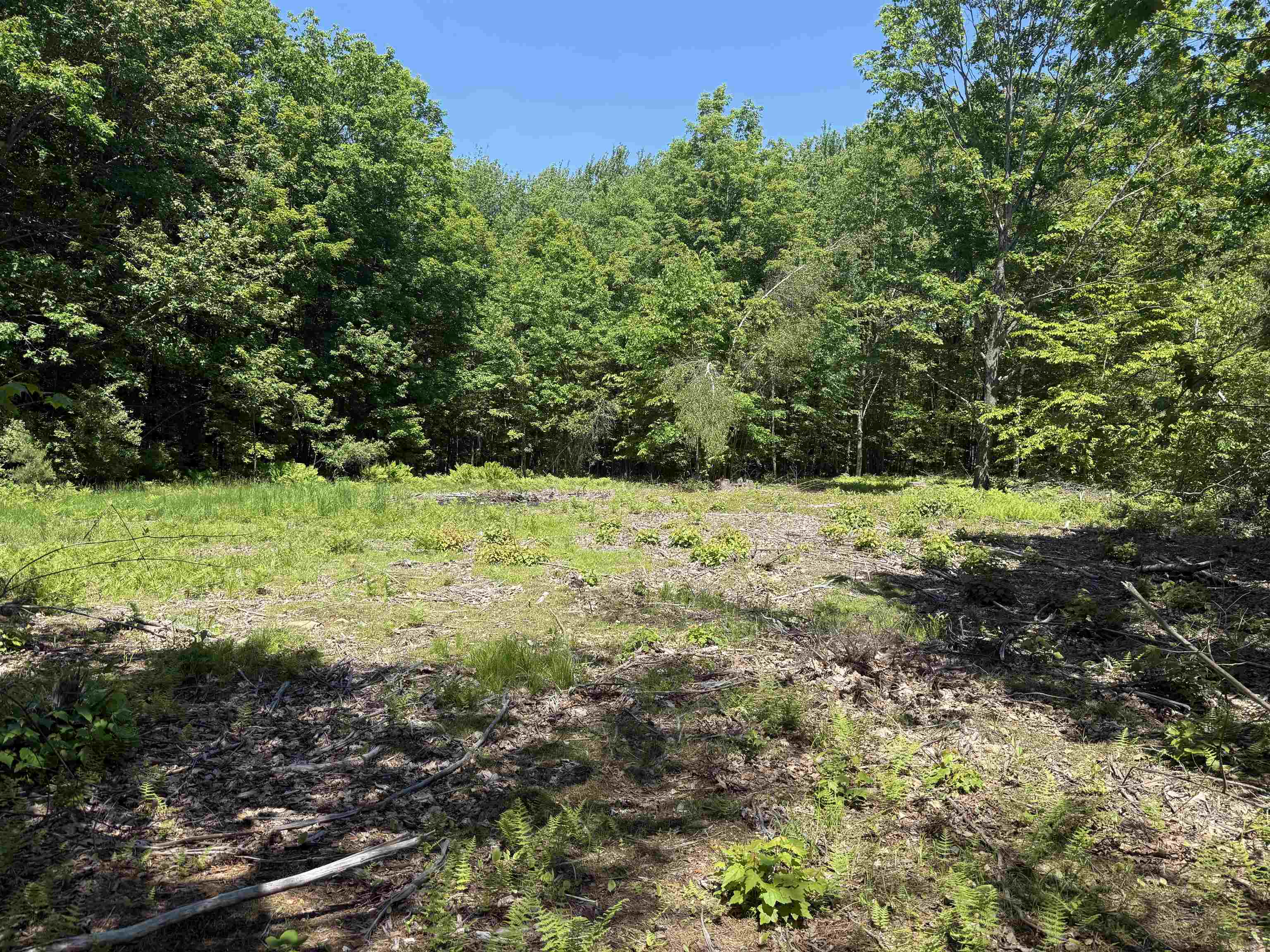 Map 5 Lot 14-3 Stockbridge Corner Road