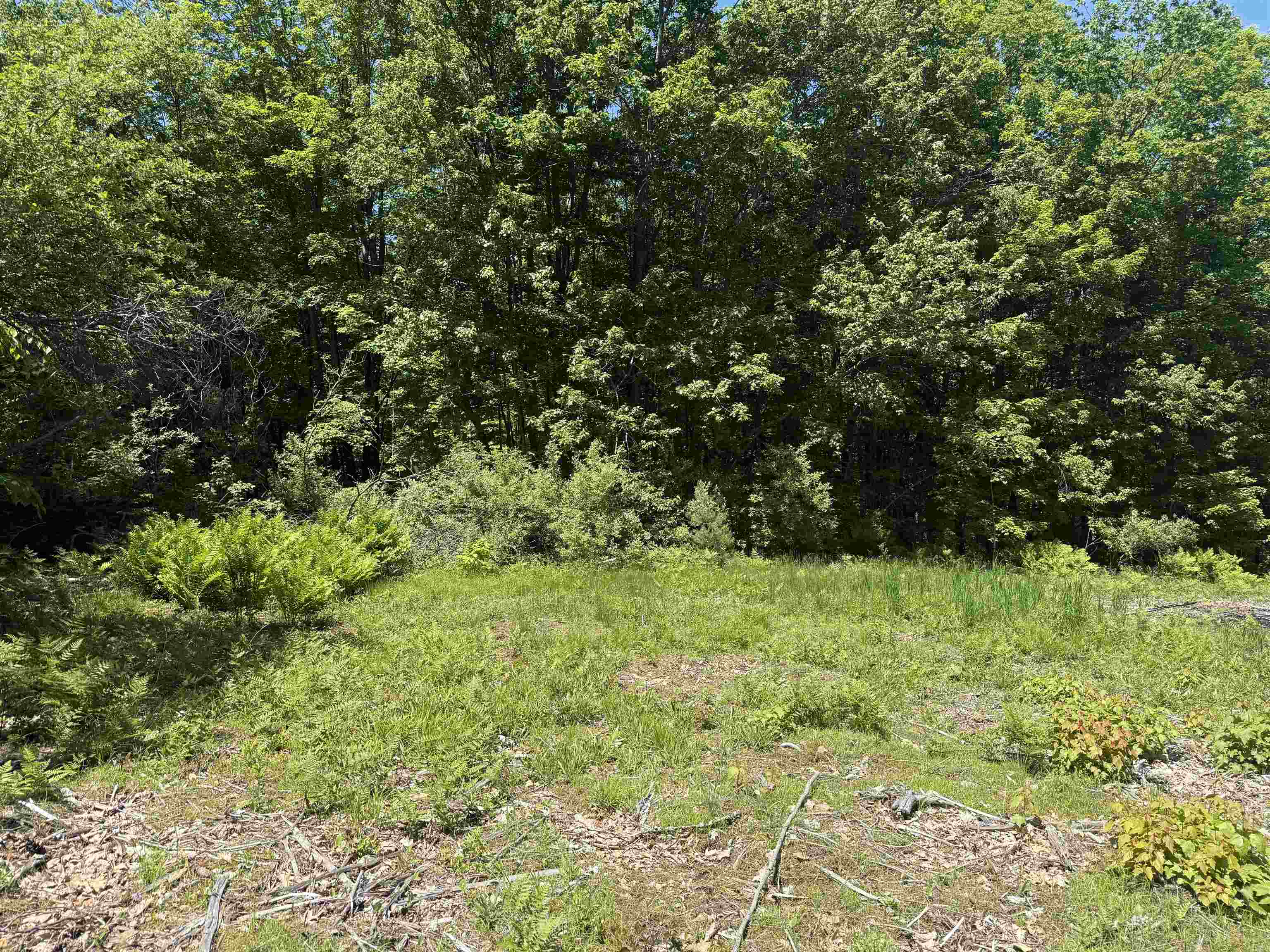 Map 5 Lot 14-3 Stockbridge Corner Road