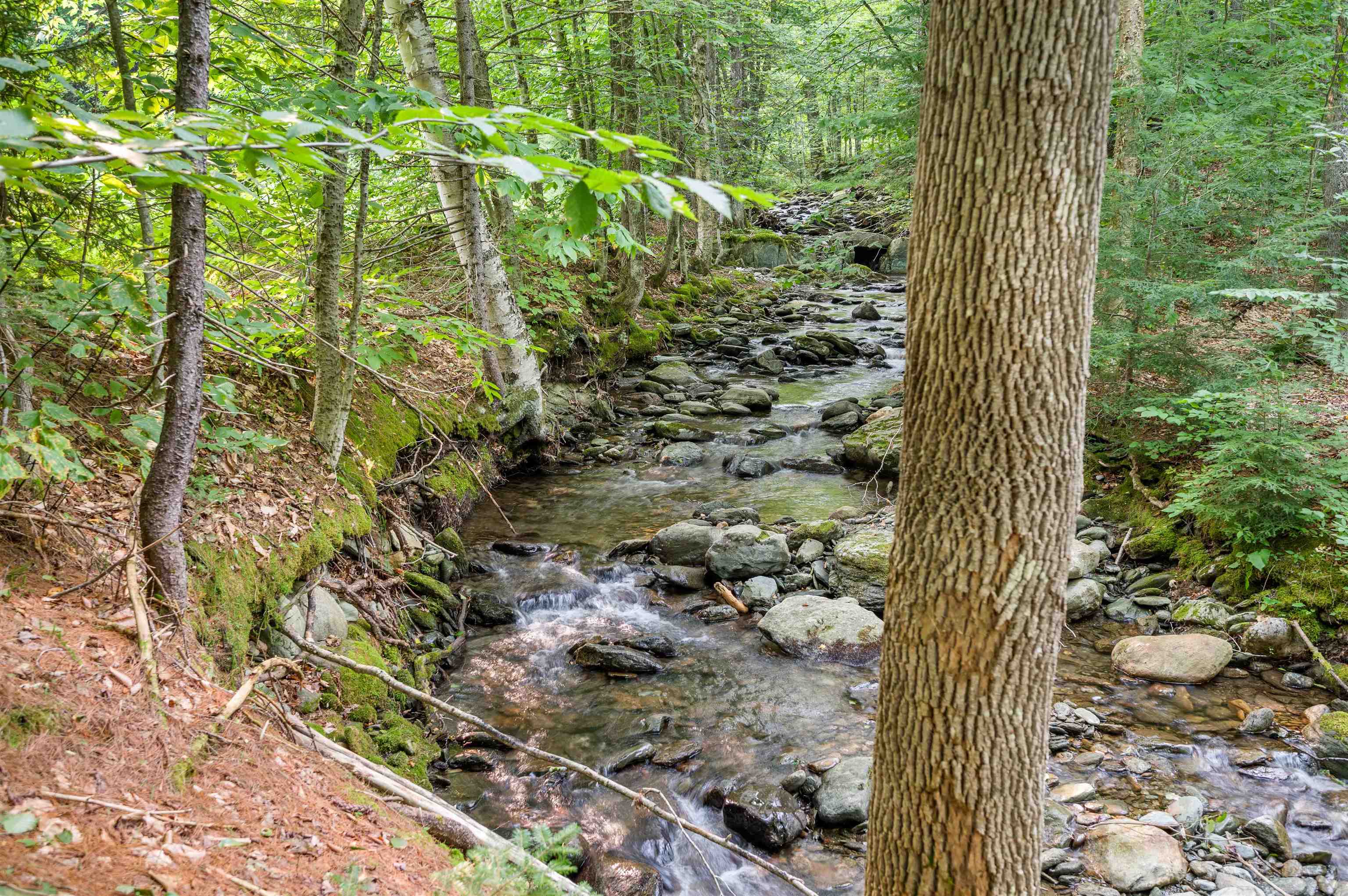 Roxbury, Vermont 05669, United States, 3 Bedrooms Bedrooms, ,2 BathroomsBathrooms,Residential,Pending,44338