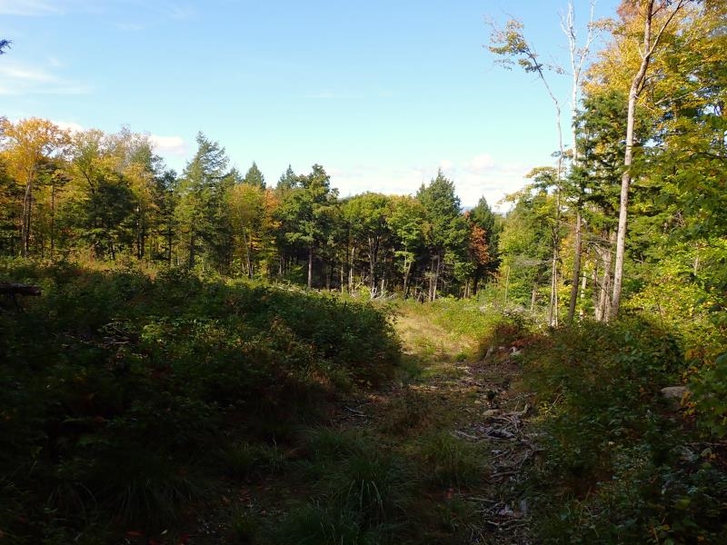 West Hill Road