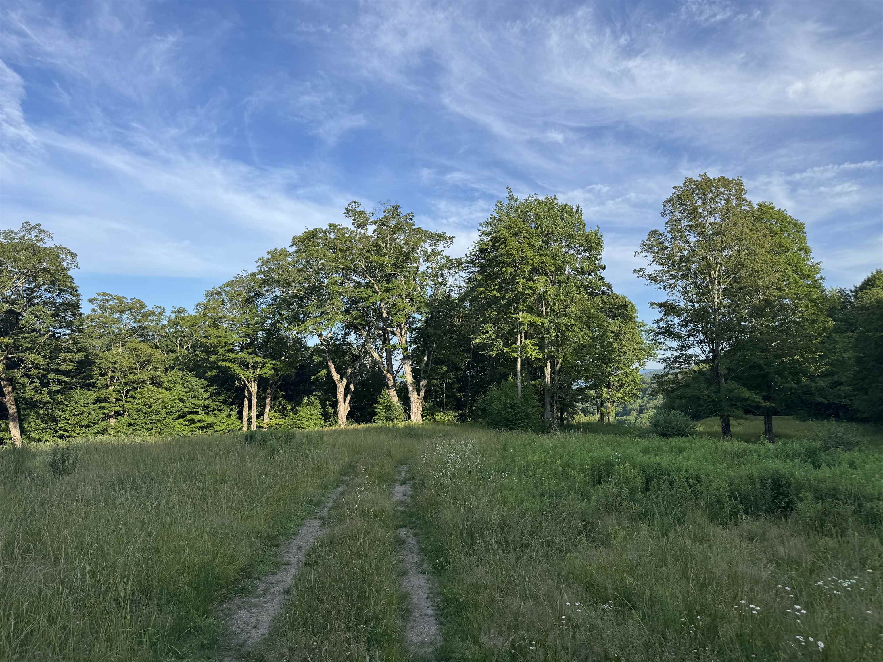 500 Nims Road Lot #2