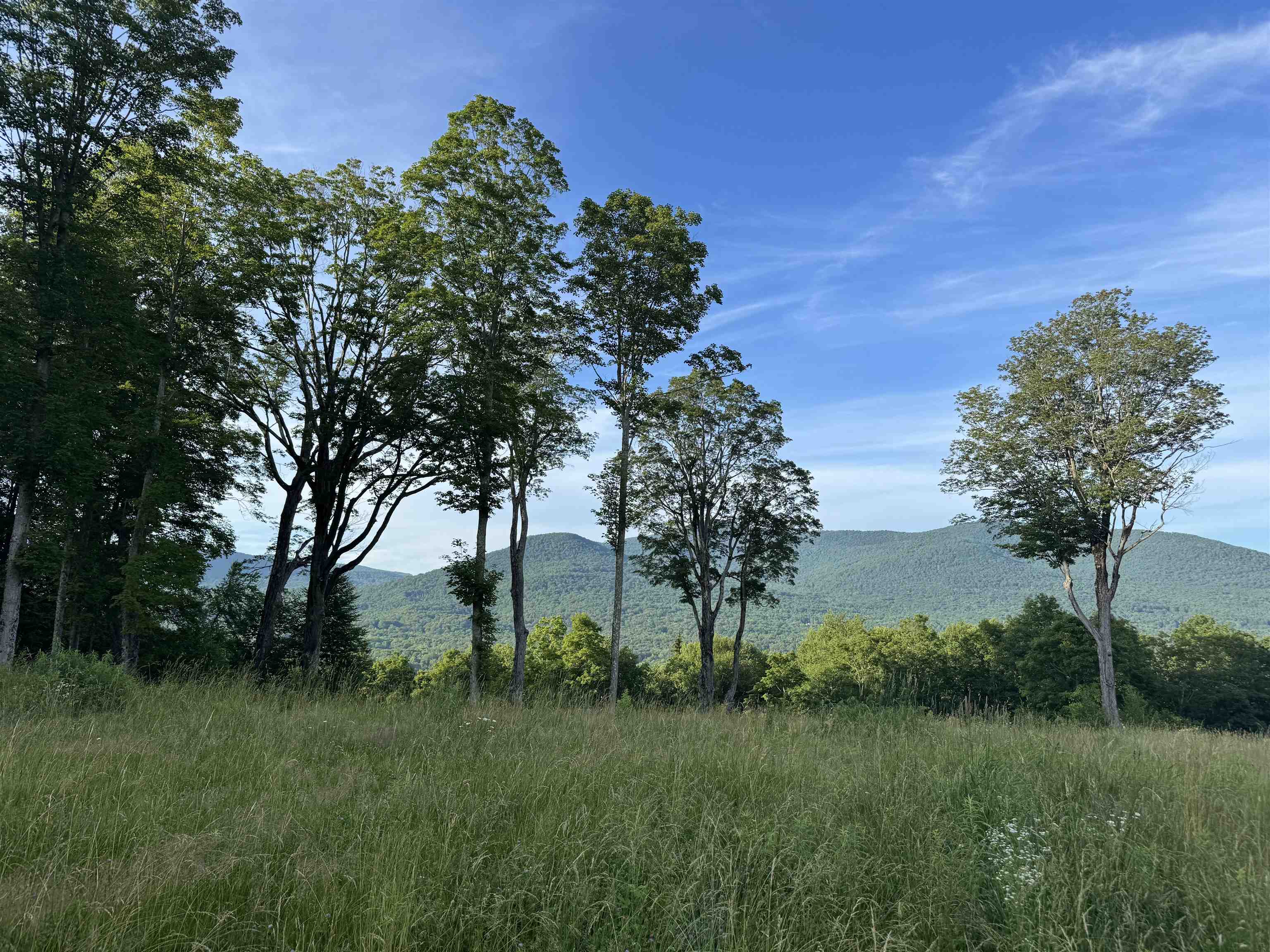 500 Nims Road Lot #2