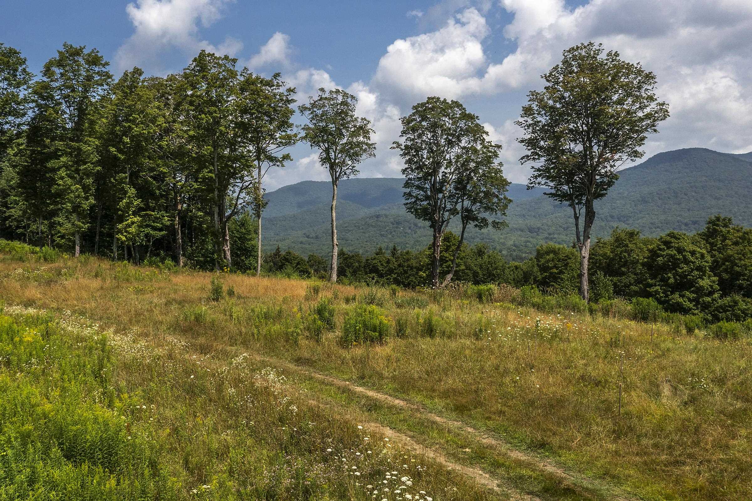 500 Nims Road Lot #2