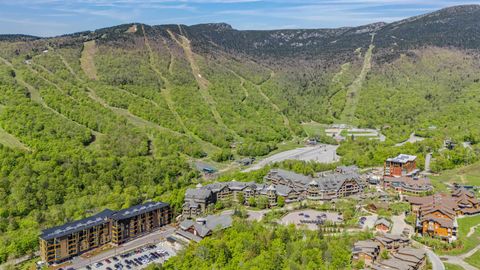 69 Hourglass Drive 205 Stowe VT 05672