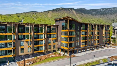 69 Hourglass Drive 205 Stowe VT 05672