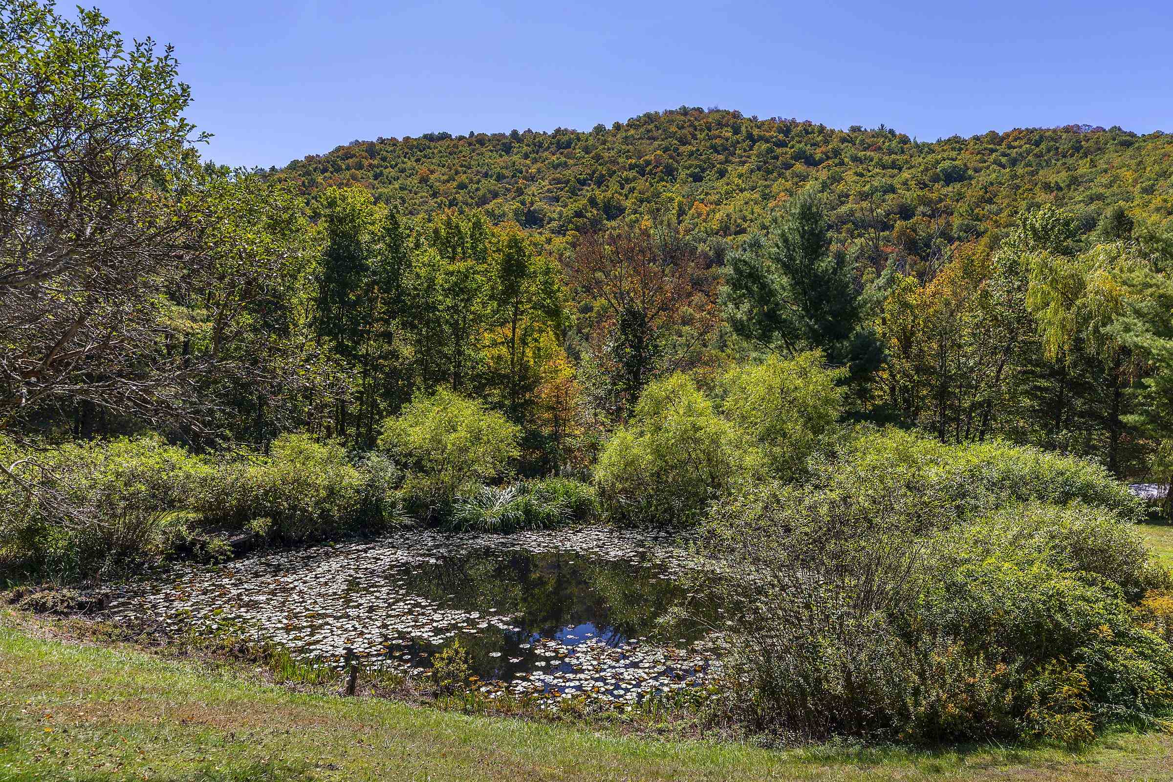 1098 West Sandgate Road