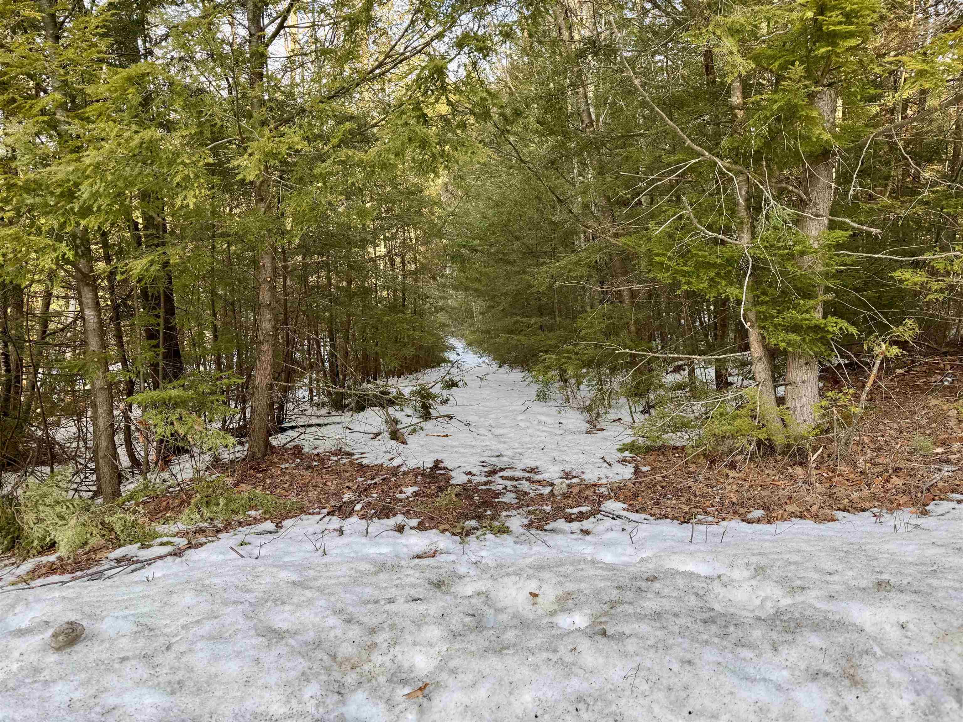 Map 9 Lot 87 Mary Rowe Drive