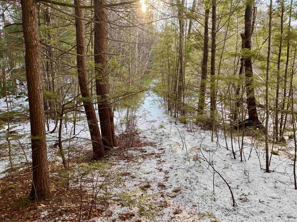 Photo of Map 9 Lot 87 Mary Rowe Drive, Hillsborough, NH 03244 (MLS # 5073865)
