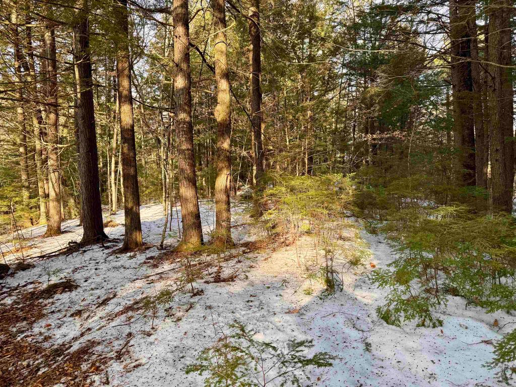 Photo of Map 9 Lot 87 Mary Rowe Drive, Hillsborough, NH 03244 (MLS # 5073865)