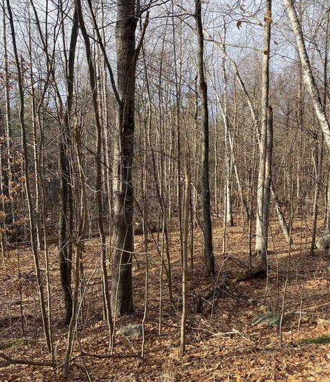 8 Fred Johnson Circle 16 Middlebury VT 05753