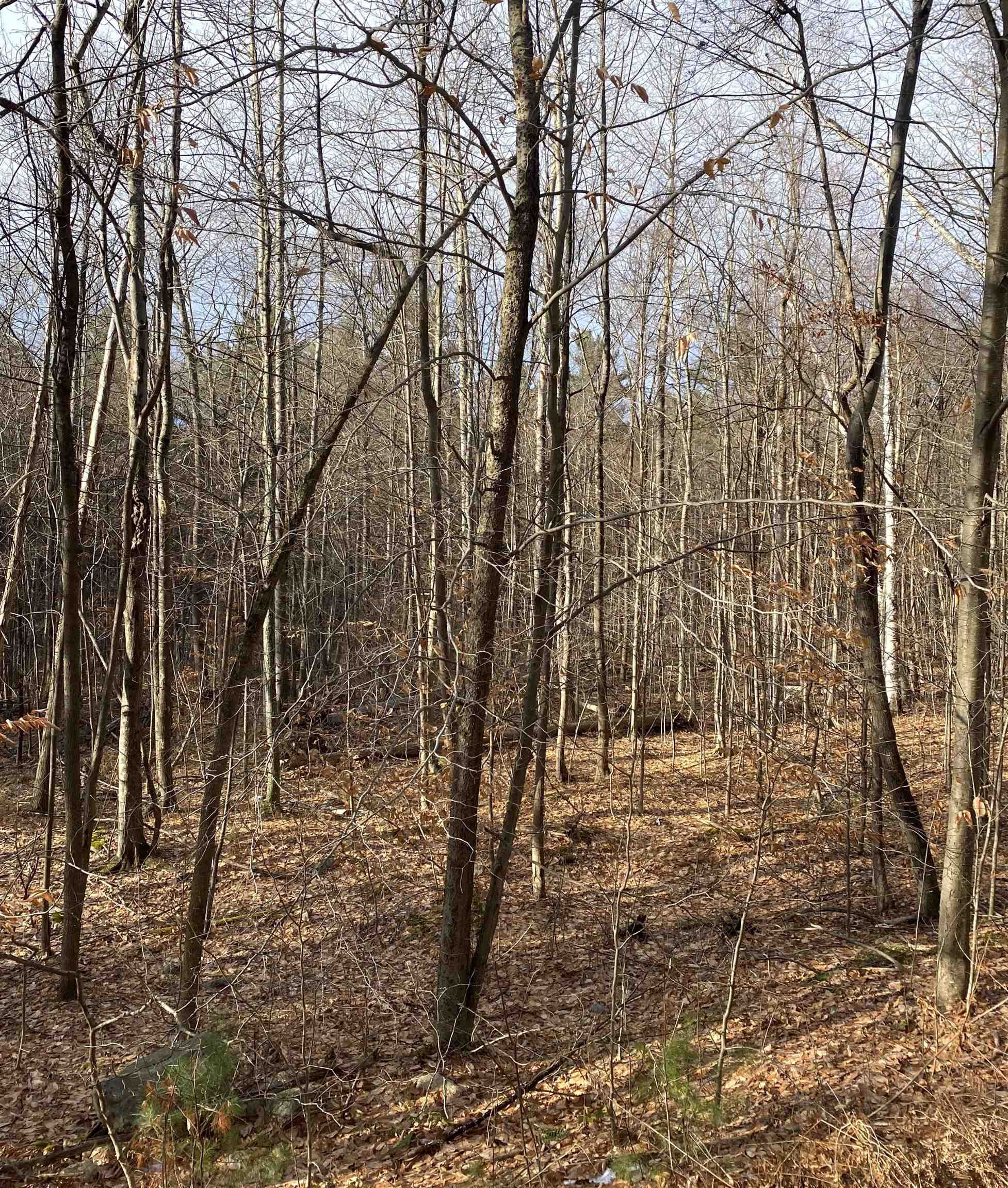 8 Fred Johnson Circle 16