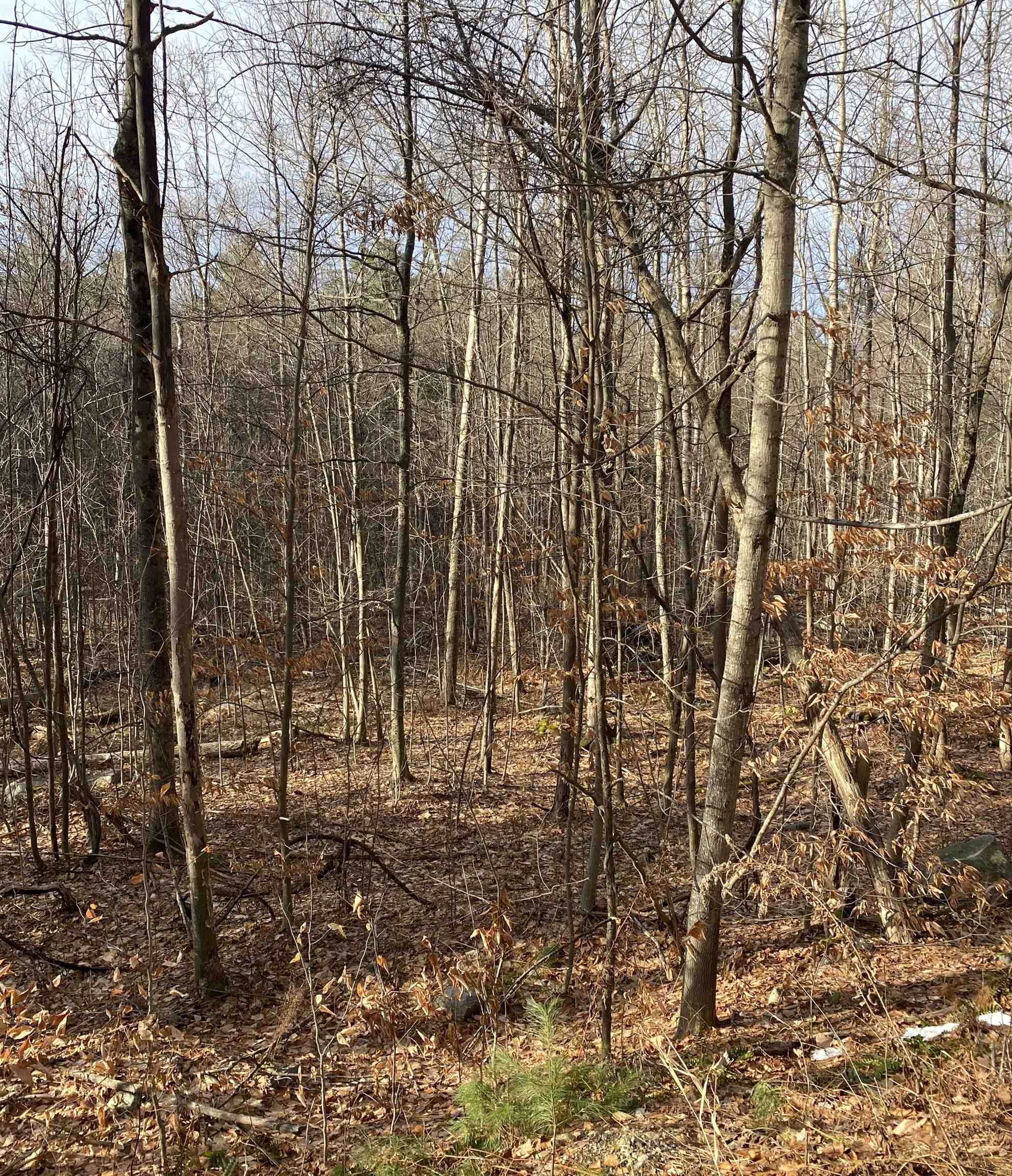 8 Fred Johnson Circle 16