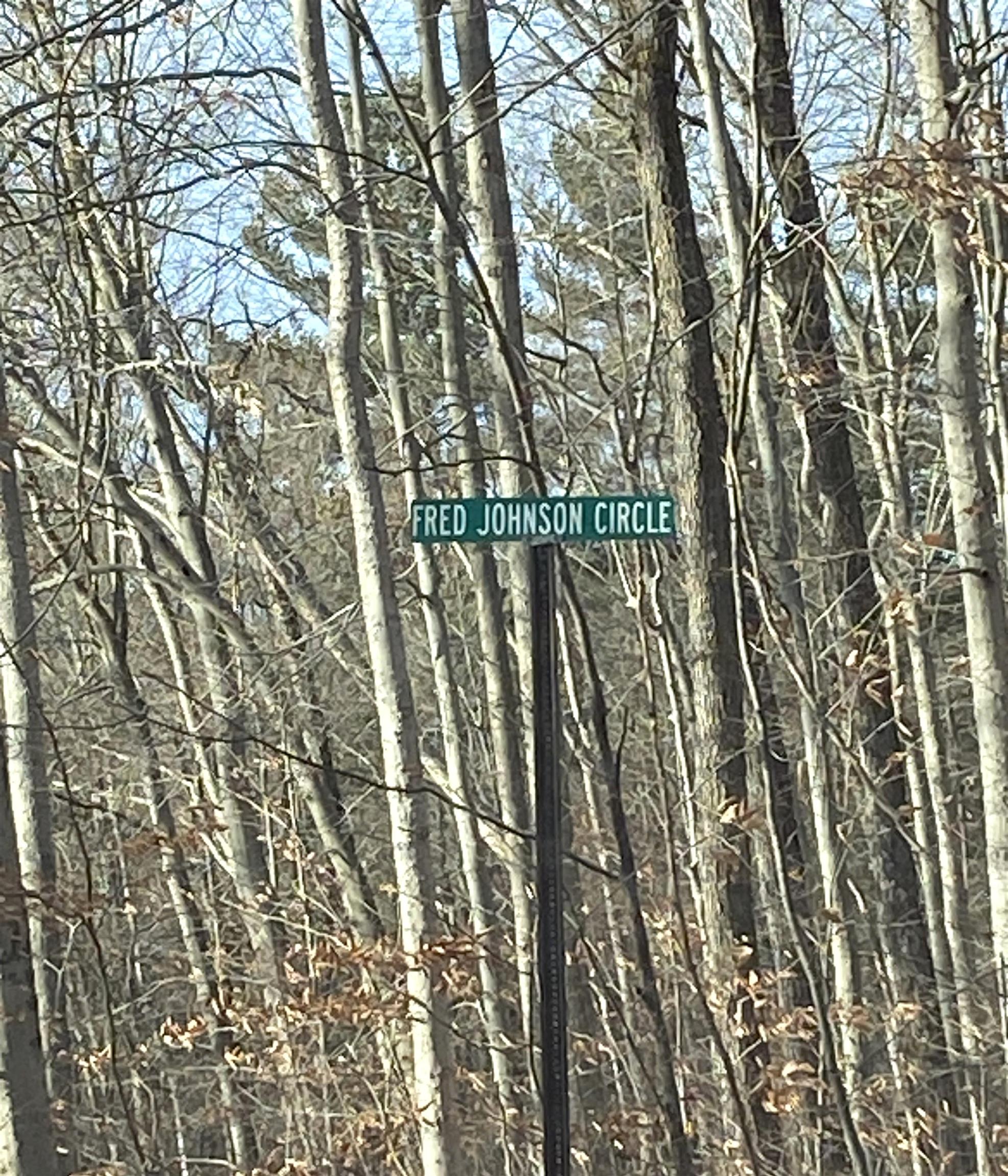 8 Fred Johnson Circle 16