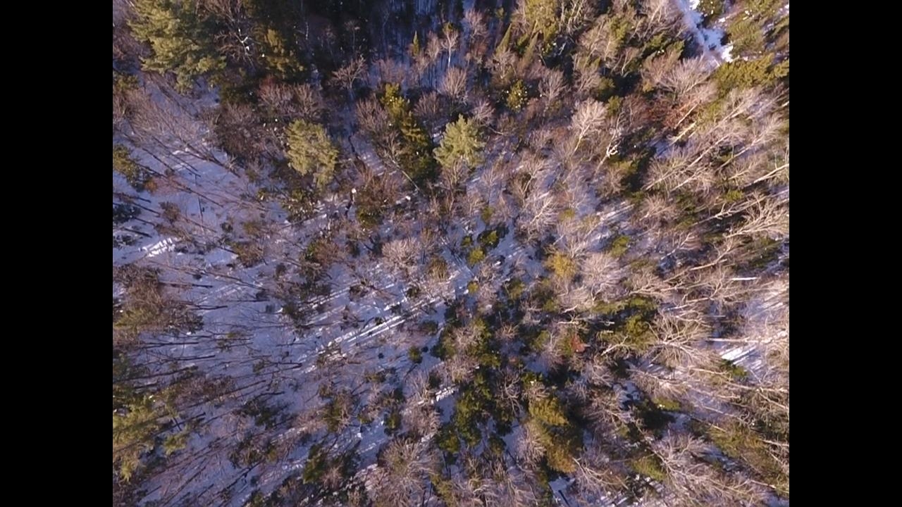 0 Waterford Hollow Lane