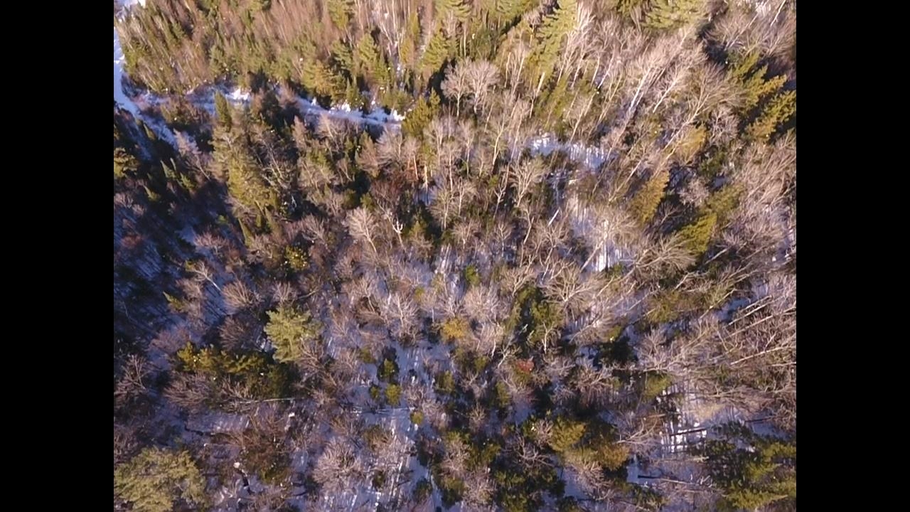 0 Waterford Hollow Lane