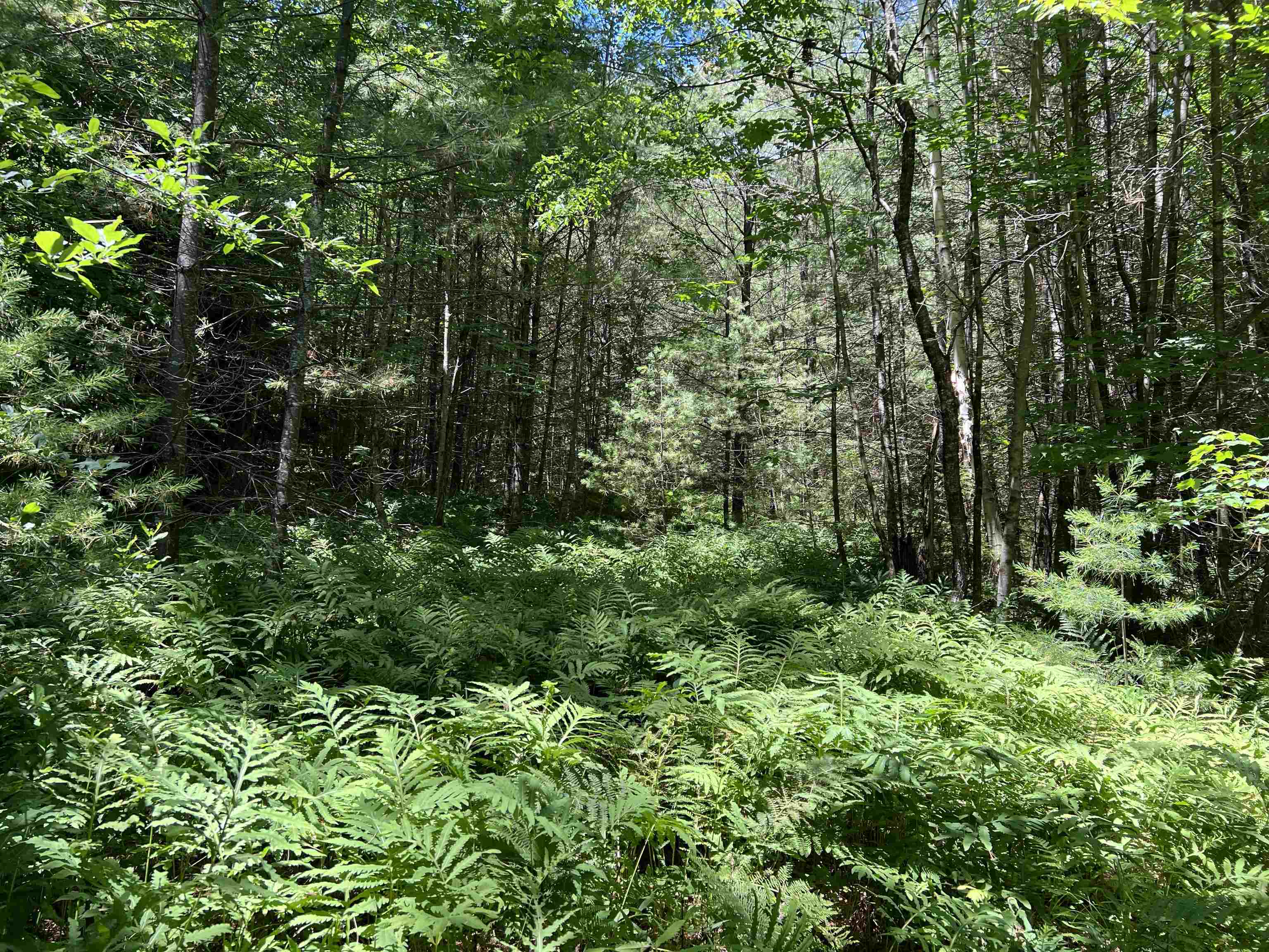 000 Upper Mad River Road