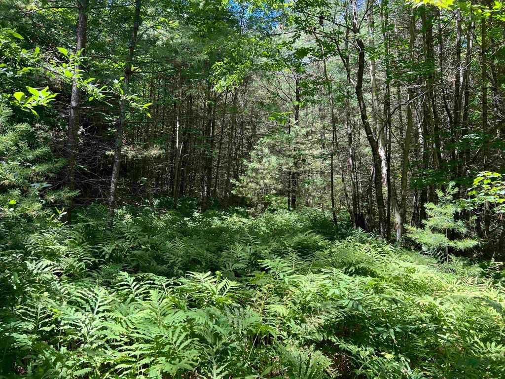 Photo of 000 Upper Mad River Road, Thornton, NH 03285 (MLS # 5010465)