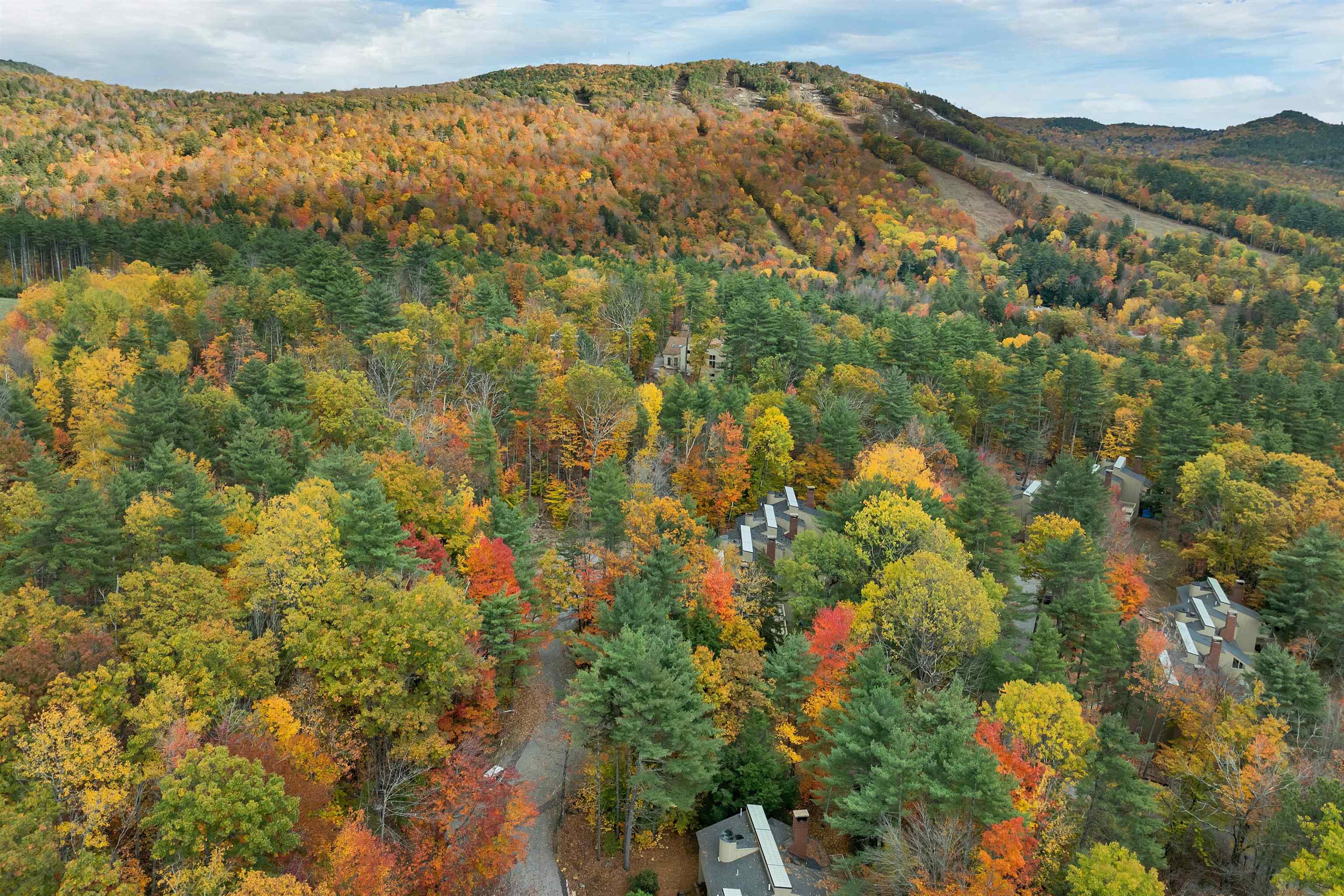 72 Cranmore Woods Lane 4