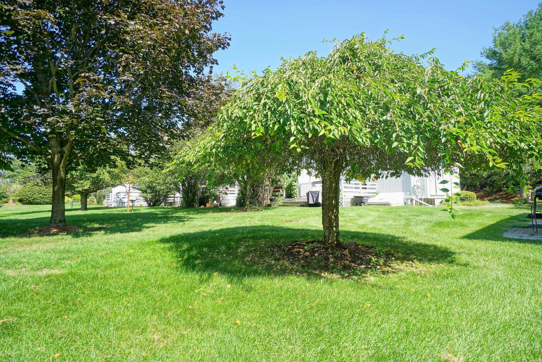 Manchester, New Hampshire 03102, United States, 2 Bedrooms Bedrooms, ,2 BathroomsBathrooms,Residential,Active,213956