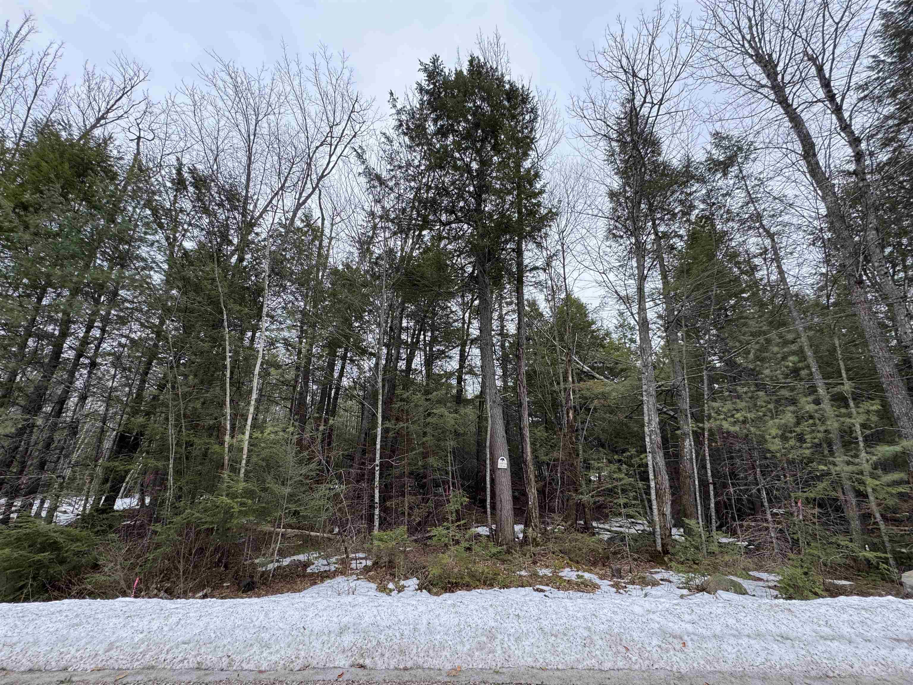 26-14 Winnipesaukee Drive town lot 26 subdivision lot 14