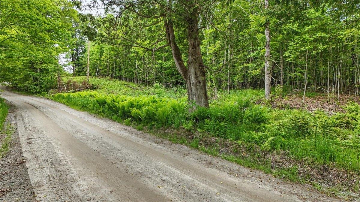 TBD Lot 1 Woodcock Road