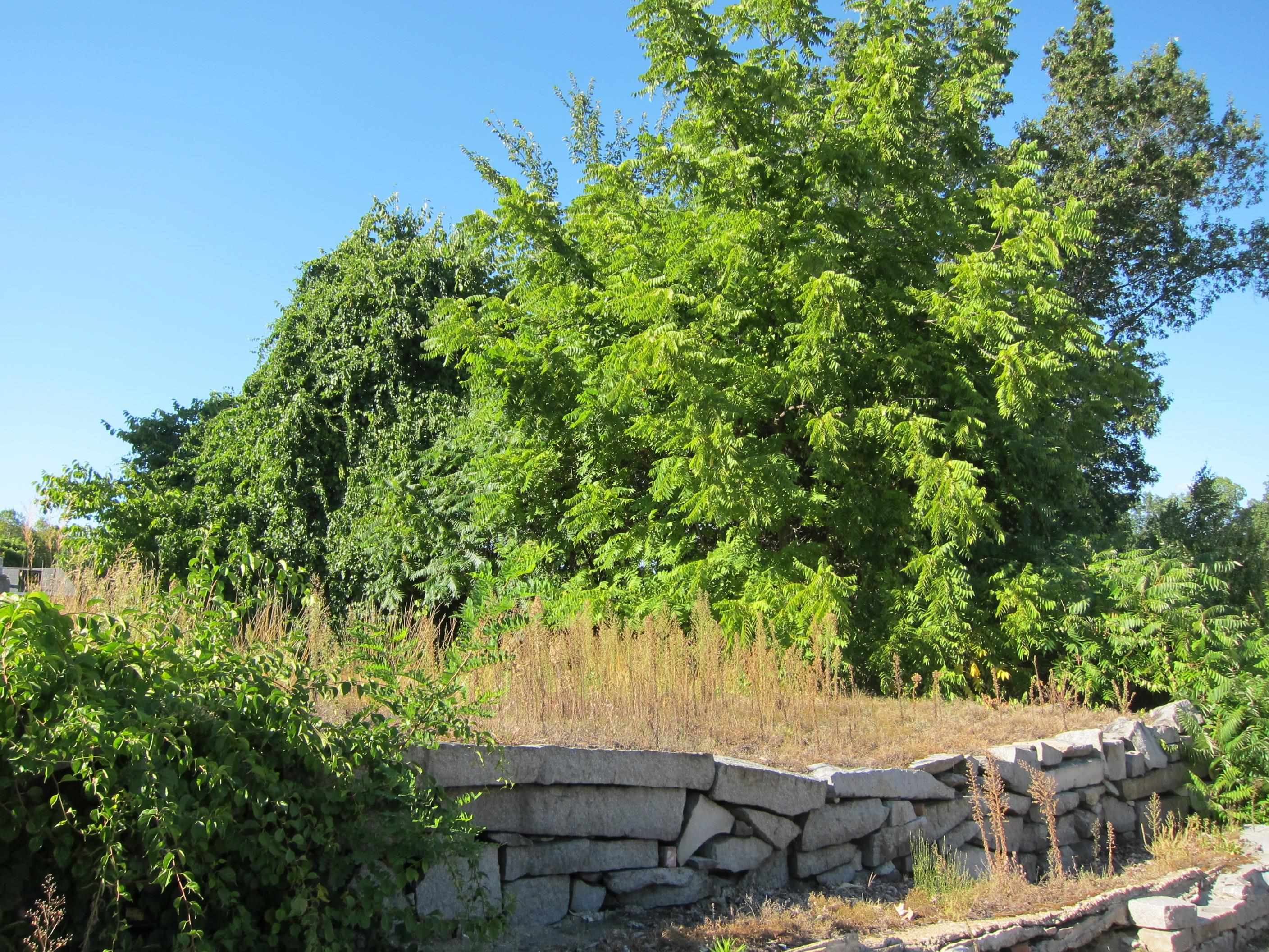 282-284 N State Street