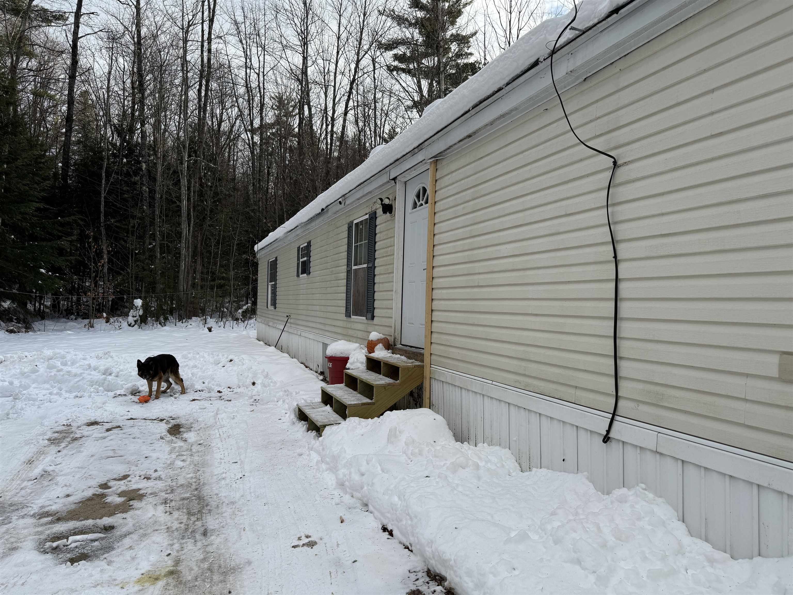319 Ossipee Mountain Road
