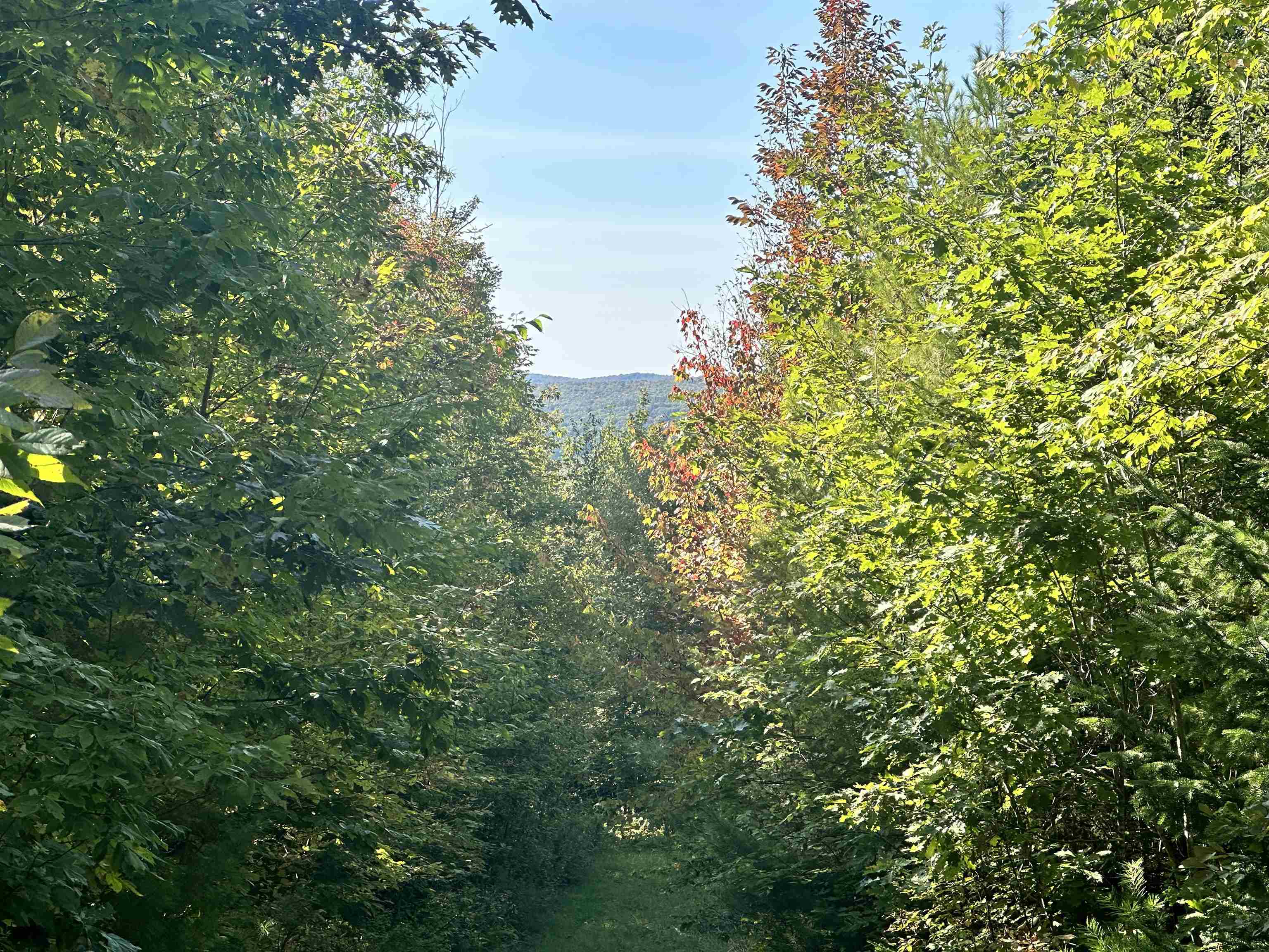 000 N. Littleton Road 9-42