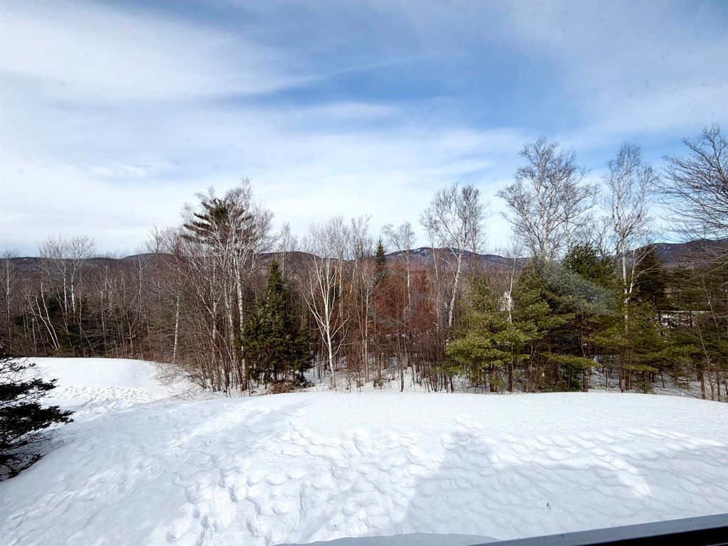 Photo of 13 Laurel Circle #Unit 8, Thornton, NH 03285 (MLS # 5078823)