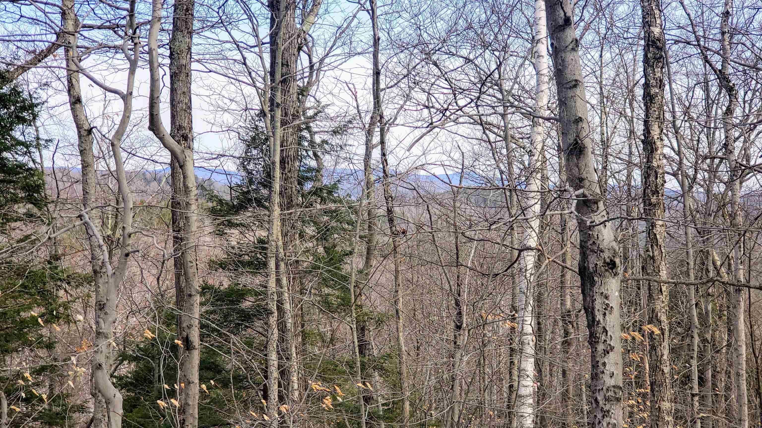 00 Route 9