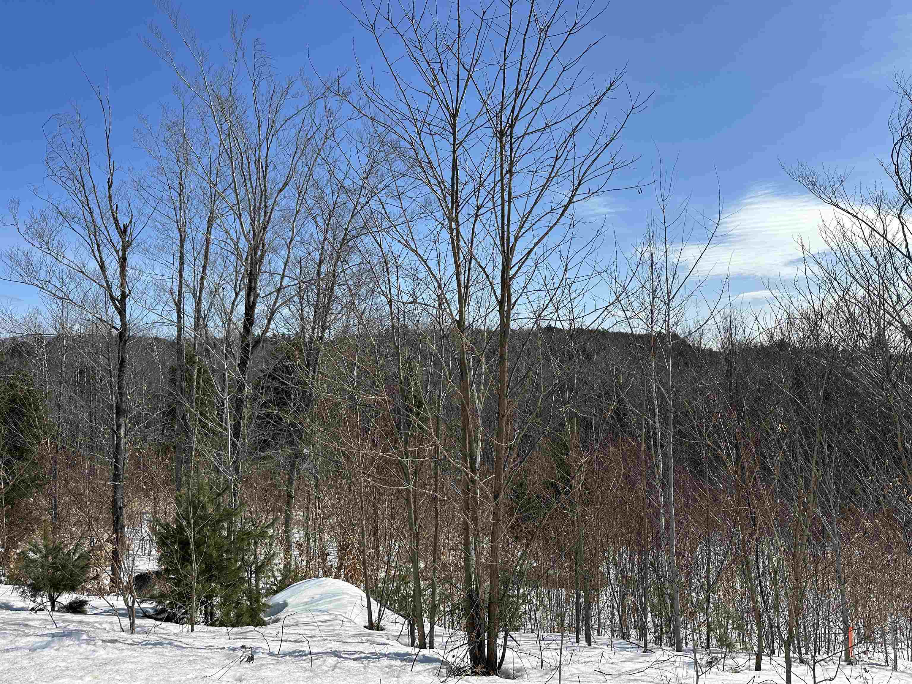 68 Grandview Road