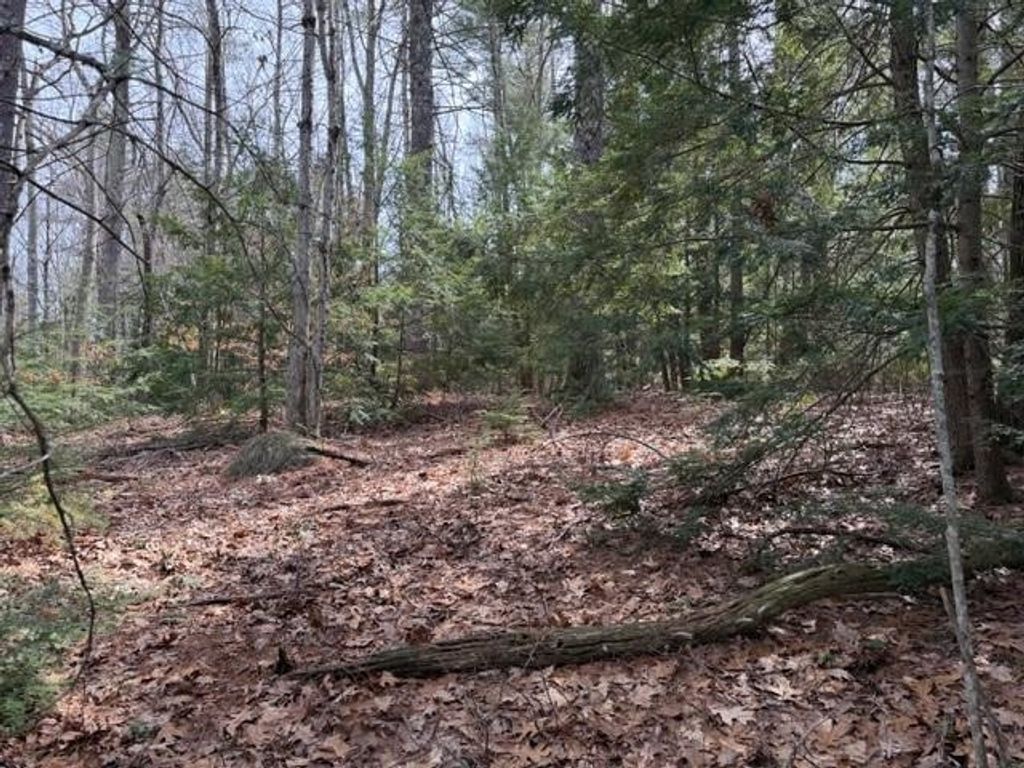 Photo of 000 Ruonala Road, Milford, NH 03055 (MLS # 5082028)