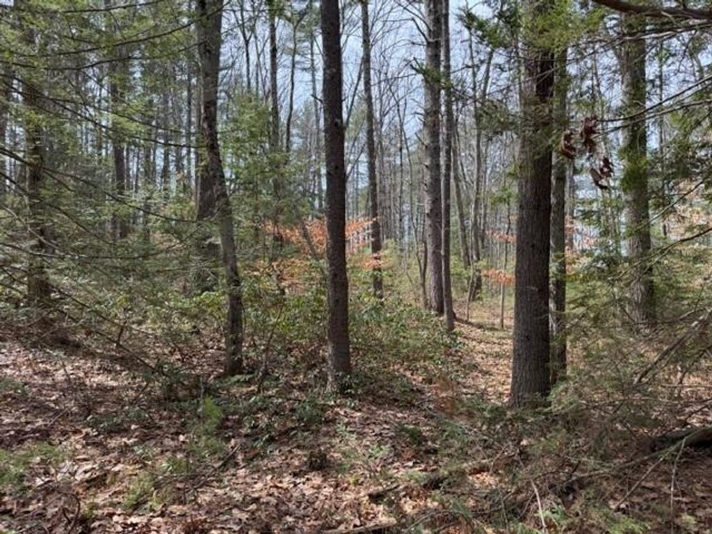 Photo of 000 Ruonala Road, Milford, NH 03055 (MLS # 5082028)