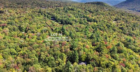 000 Wonder Lane LOT 15 Jamaica VT 05343