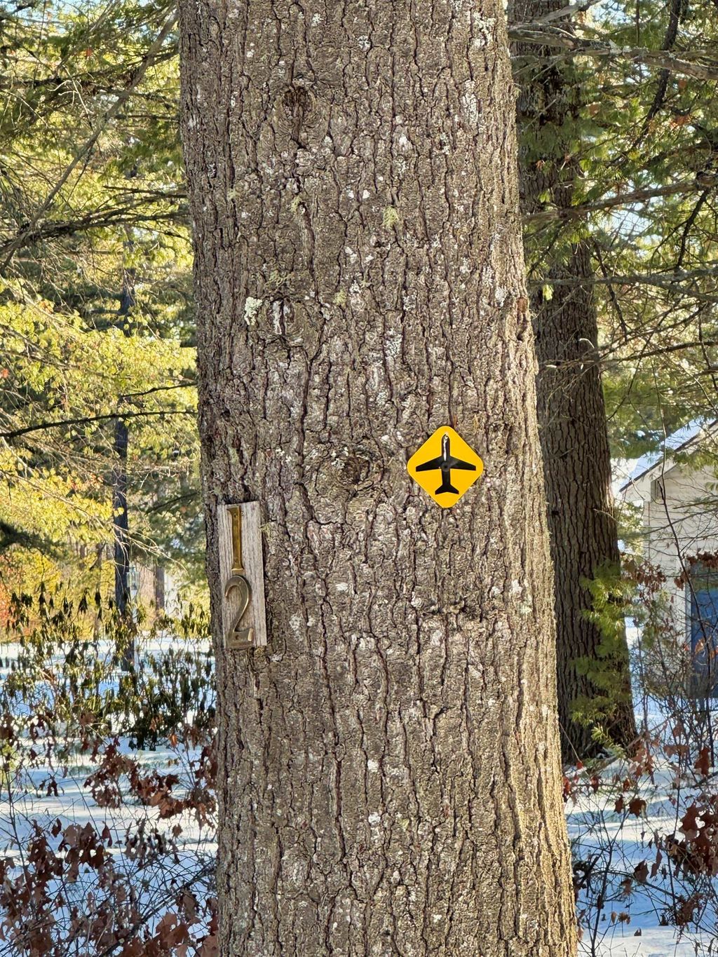 Photo of 12 Logan Way, Ossipee, NH 03890 (MLS # 5075169)